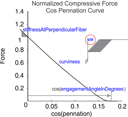 fig_FiberCompressiveForceCosPennationCurve.png