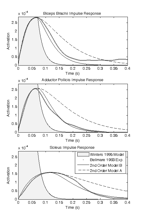 fig_MuscleSecondOrderActivationDynamicModel.png