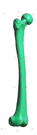 Original Guide Points