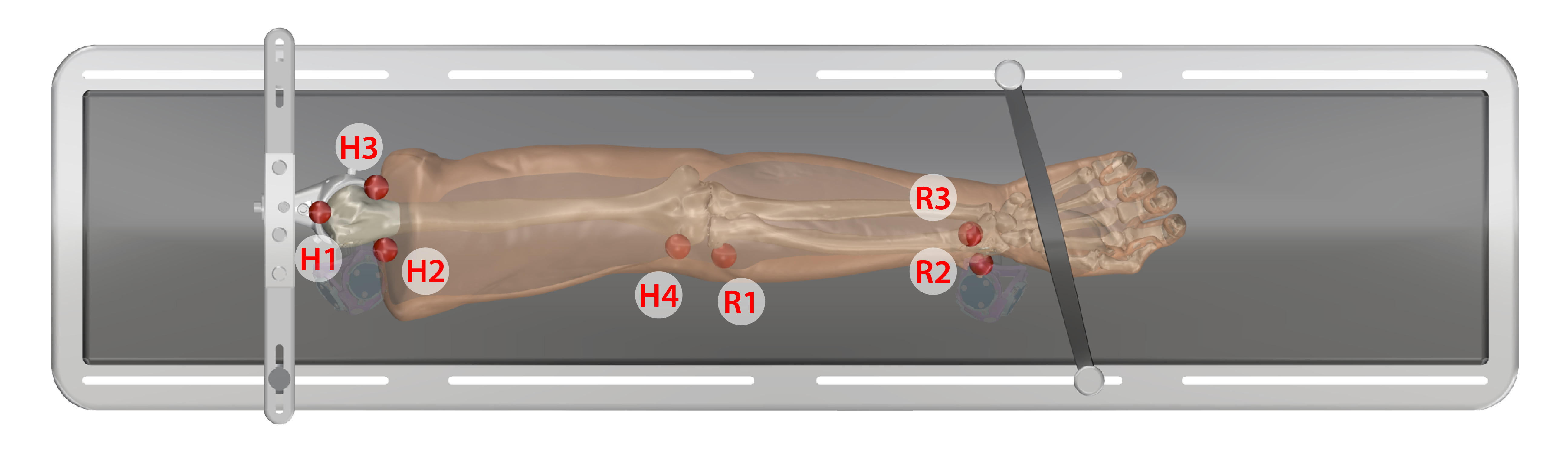 Specifications/InVitroTesting/ArmRegistrationOrder.png