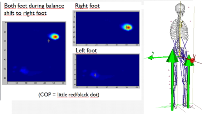 verticalGRF_applied_to_model.jpg