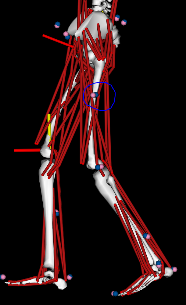 IK Associated Motion Data.PNG