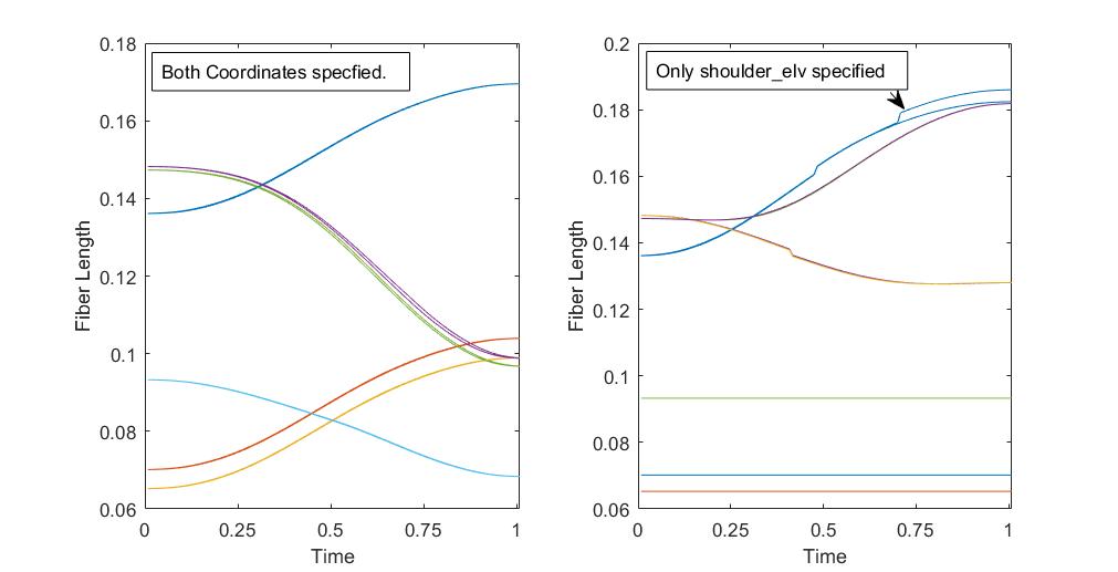 MuscleAnalysis_API.jpg