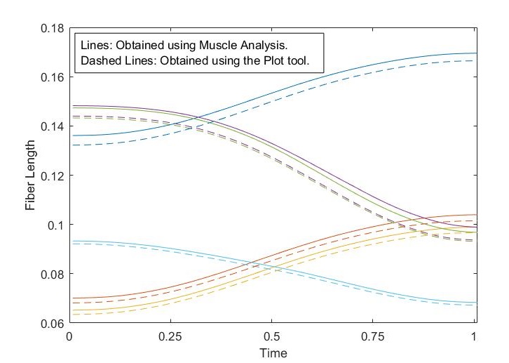 MuscleAnalysis_Plot.jpg