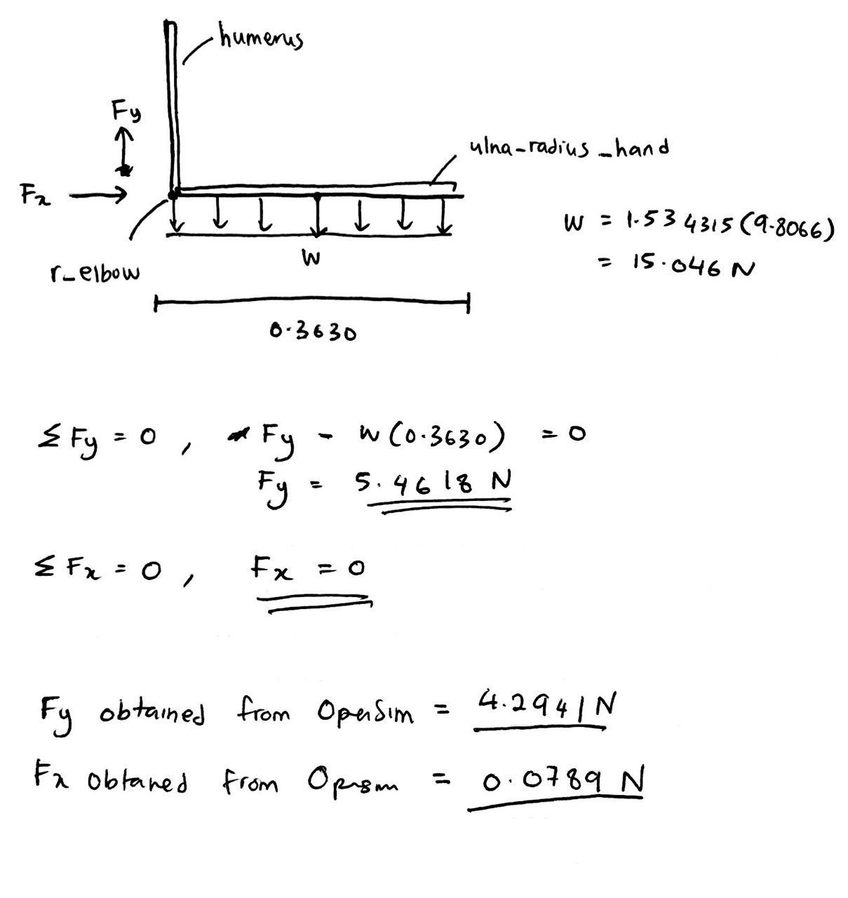 manual calc_Without muscle.jpg