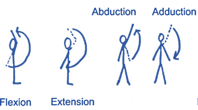 Flexion&Abduction.PNG