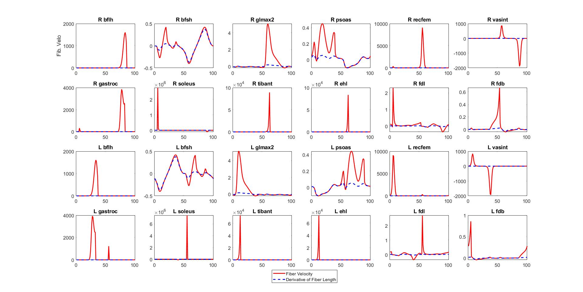 Muscle Fiber Velocity Fig_v2.jpg