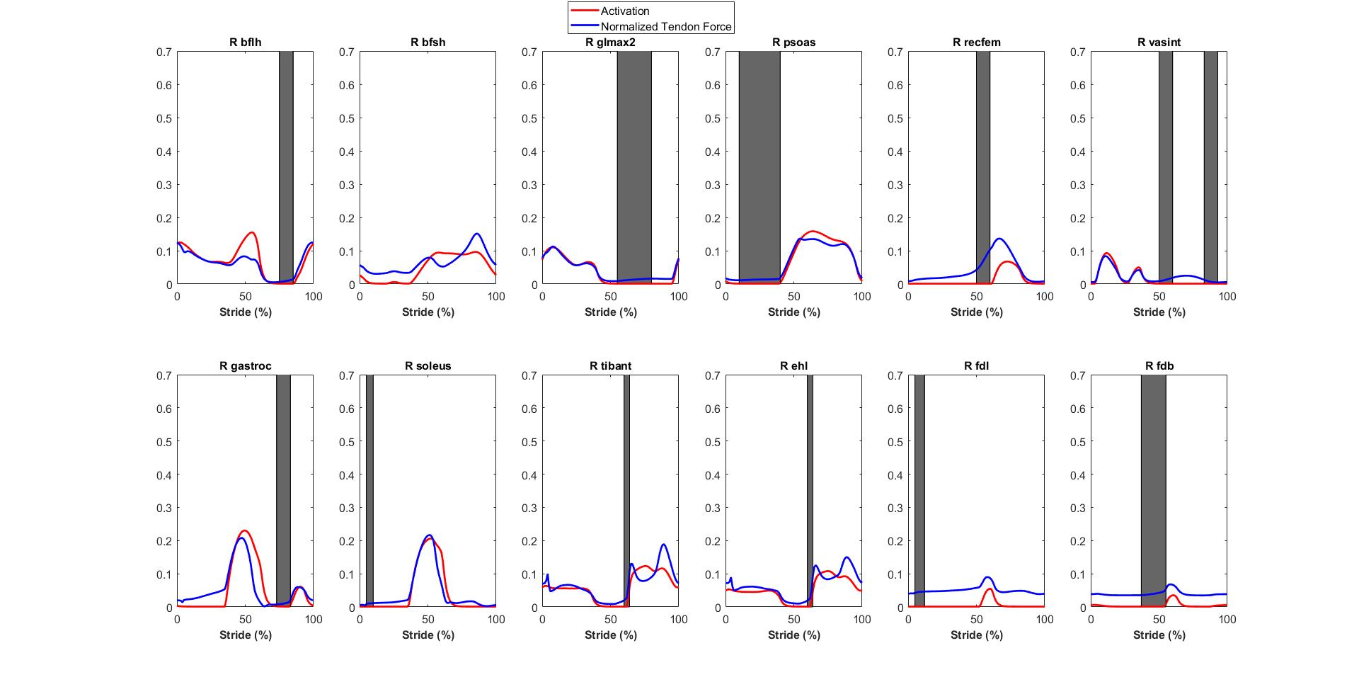 Muscle Activation and Tendon Force.jpg