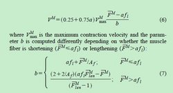 Thelen force-velocity equation.jpg