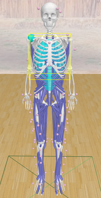 body.PNG