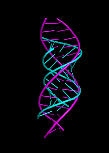 magenta_sim_cyan_1RNA_MD.png