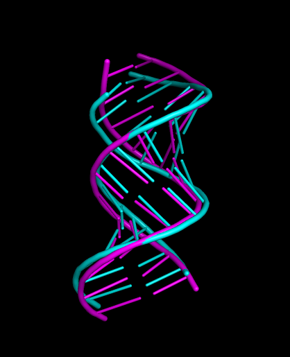 magenta_sim_cyan_1RNA.png