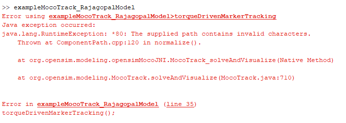 error_message_moco_track_test.png